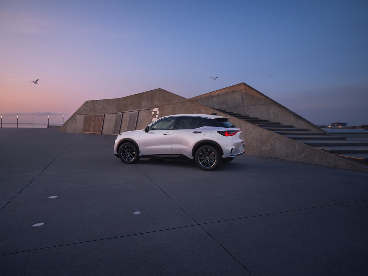 Dog lying on grass with red Lexus NX