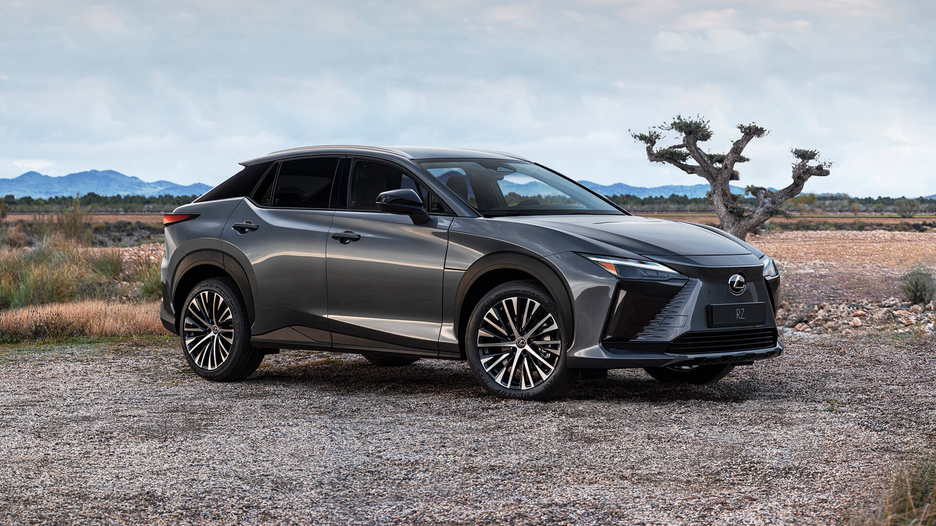 Lexus UX 300e | Discover The All-Electric SUV | Lexus UK